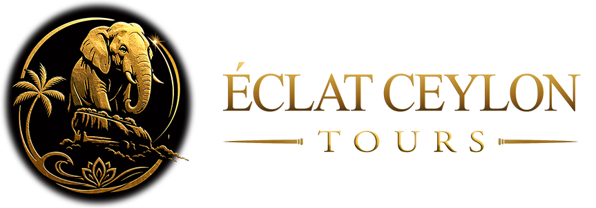 Tourm